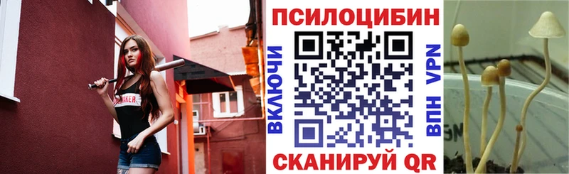 Псилоцибиновые грибы Psilocybine cubensis  где найти   Лагань 